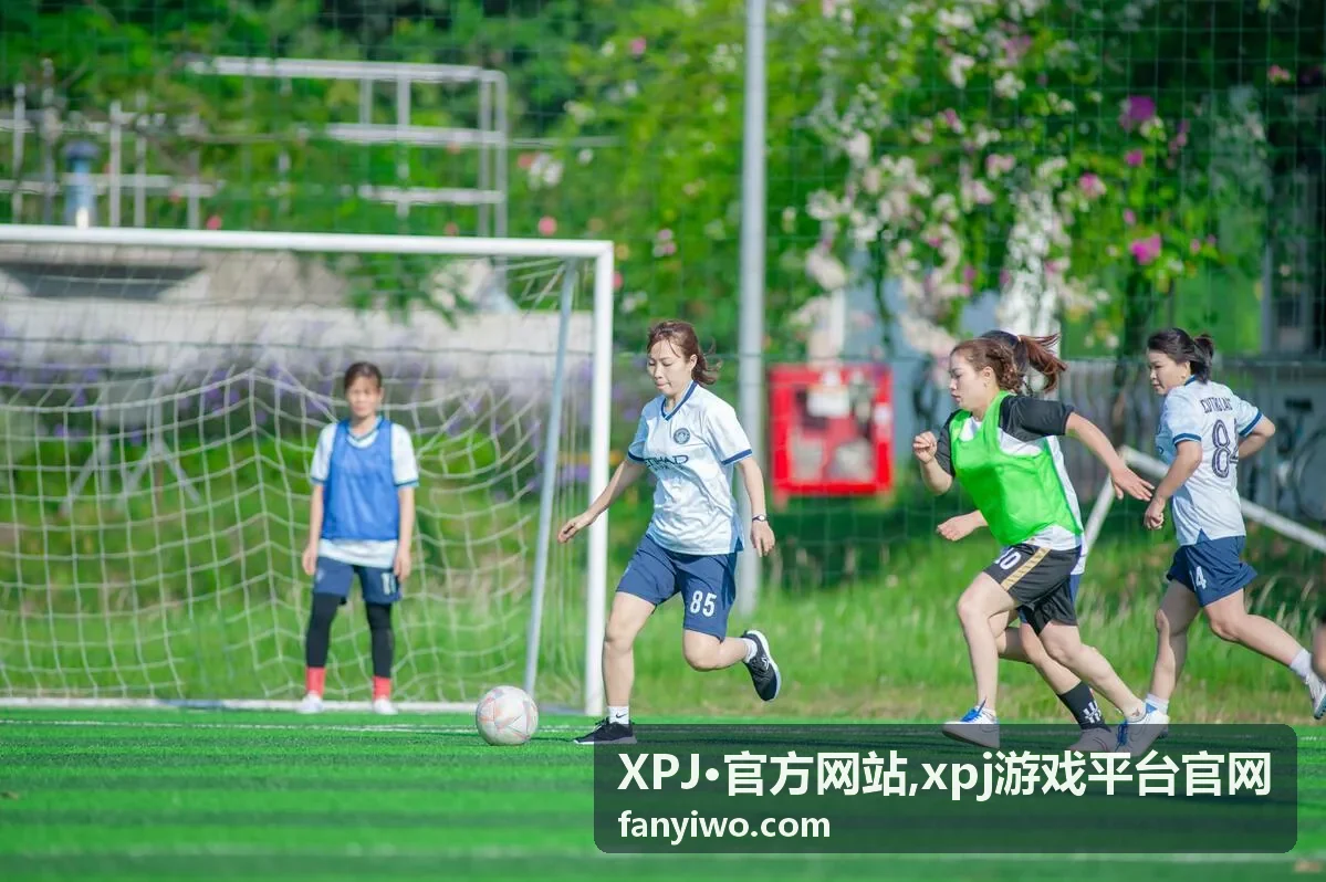 XPJ·官方网站平台入口信息展示